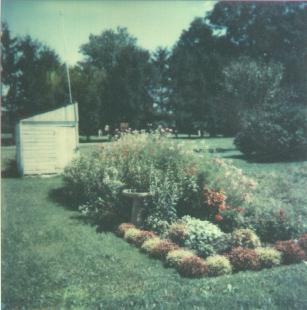 Flora Curtis Flower Garden!